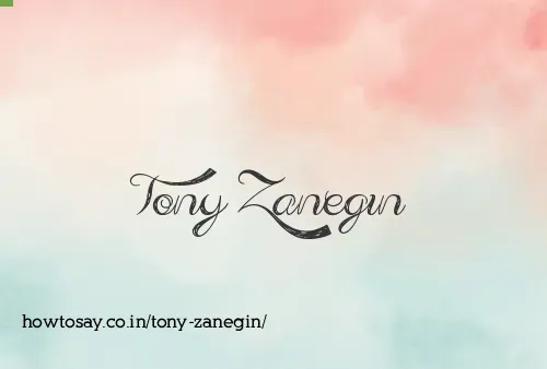 Tony Zanegin