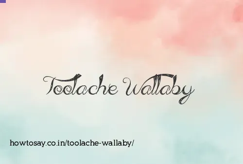 Toolache Wallaby