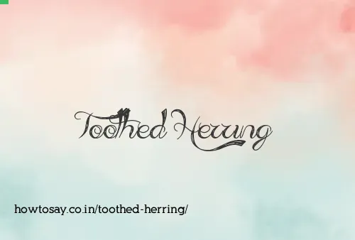 Toothed Herring