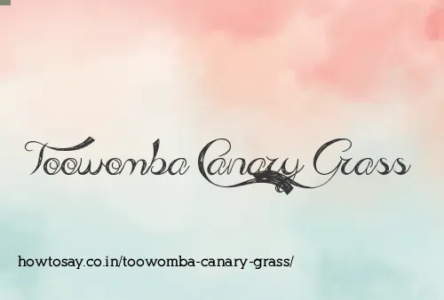 Toowomba Canary Grass