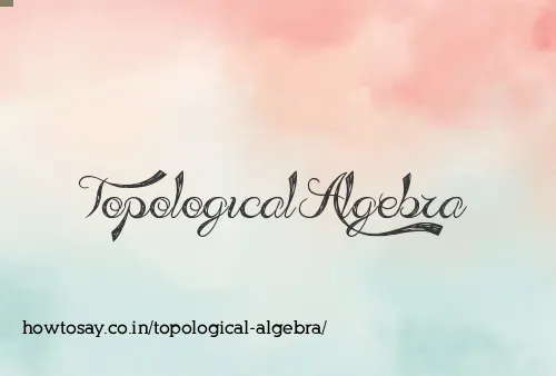 Topological Algebra