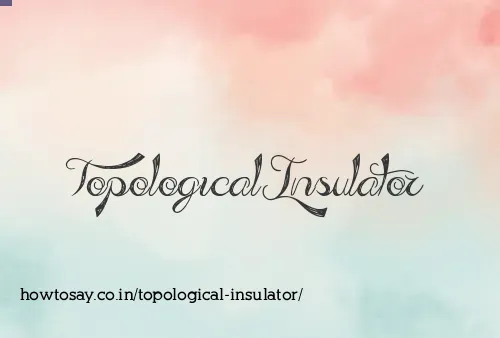 Topological Insulator
