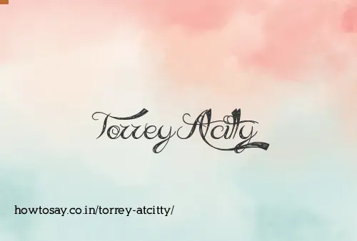 Torrey Atcitty