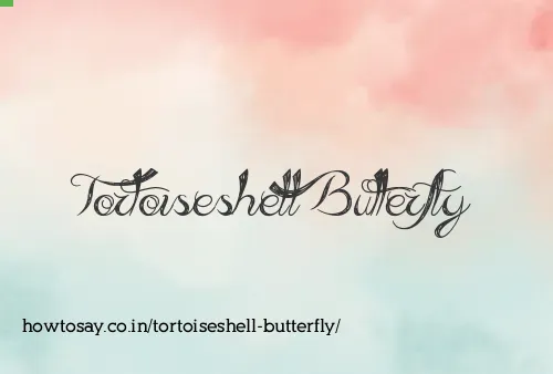 Tortoiseshell Butterfly