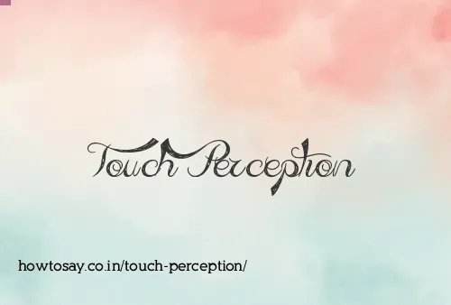 Touch Perception