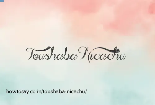 Toushaba Nicachu