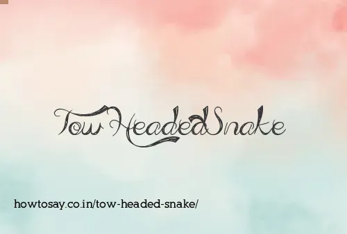 Tow Headed Snake
