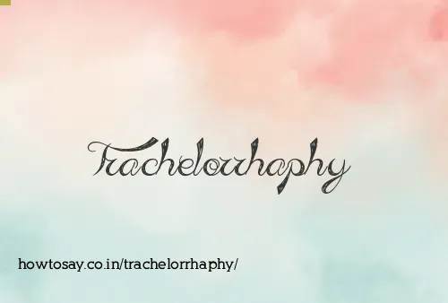 Trachelorrhaphy