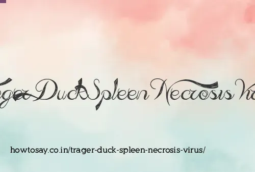 Trager Duck Spleen Necrosis Virus