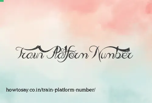 Train Platform Number