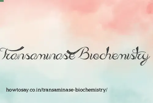 Transaminase Biochemistry