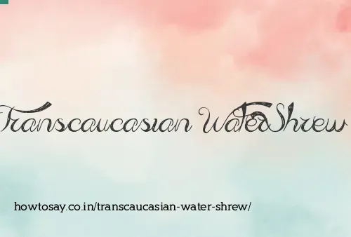 Transcaucasian Water Shrew