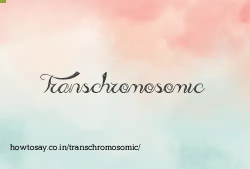 Transchromosomic