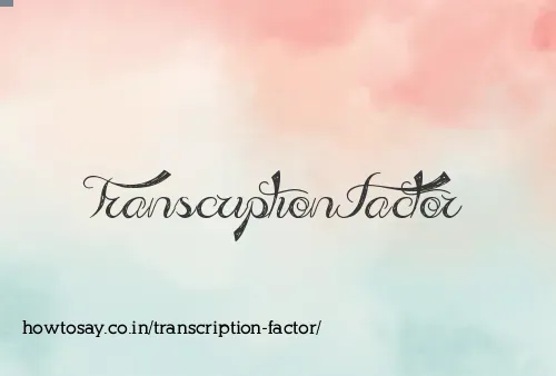 Transcription Factor