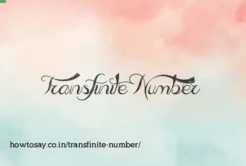 Transfinite Number