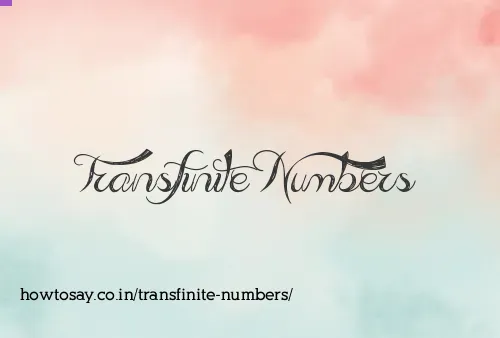Transfinite Numbers