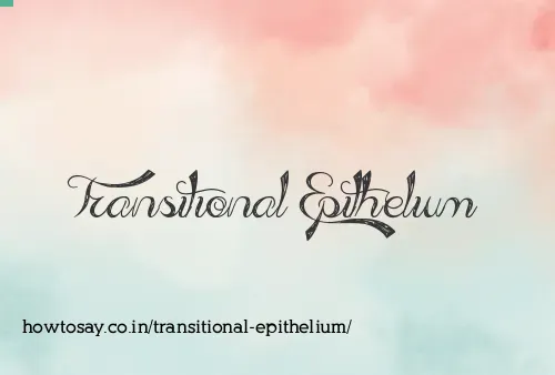Transitional Epithelium