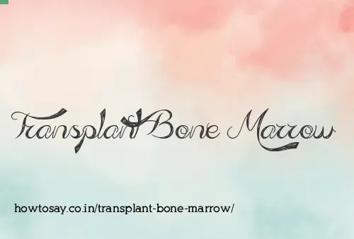 Transplant Bone Marrow