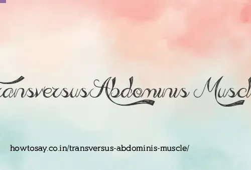 Transversus Abdominis Muscle