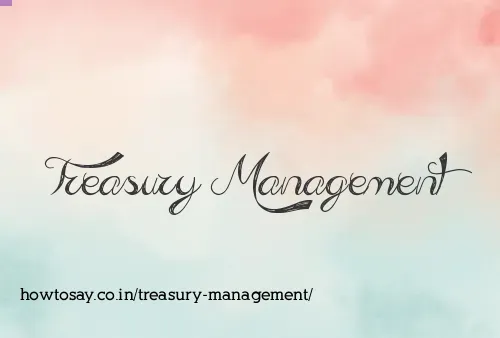 Treasury Management