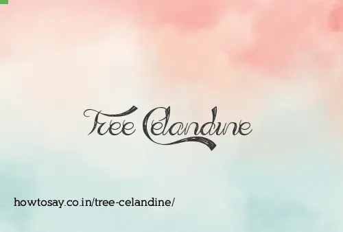 Tree Celandine