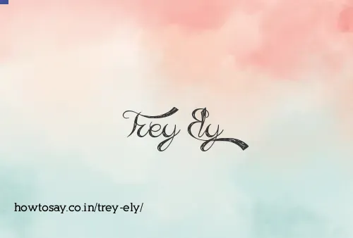 Trey Ely