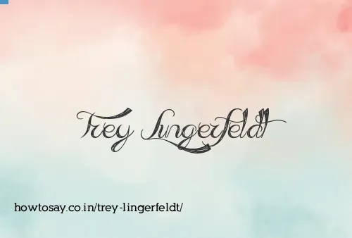 Trey Lingerfeldt