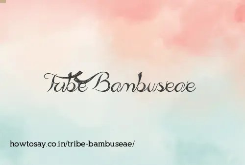 Tribe Bambuseae
