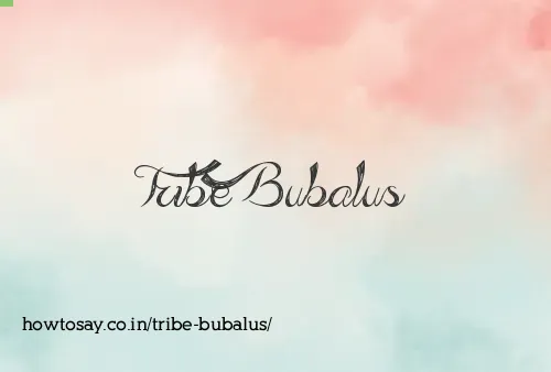 Tribe Bubalus