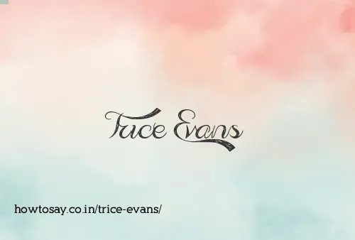 Trice Evans
