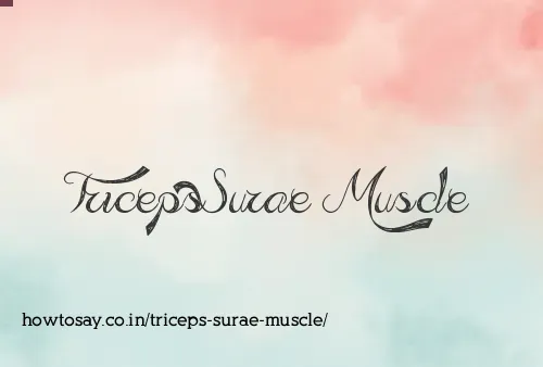 Triceps Surae Muscle