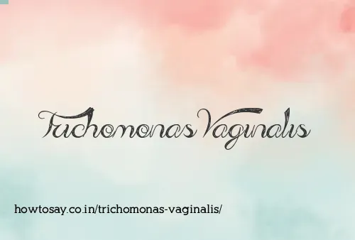 Trichomonas Vaginalis