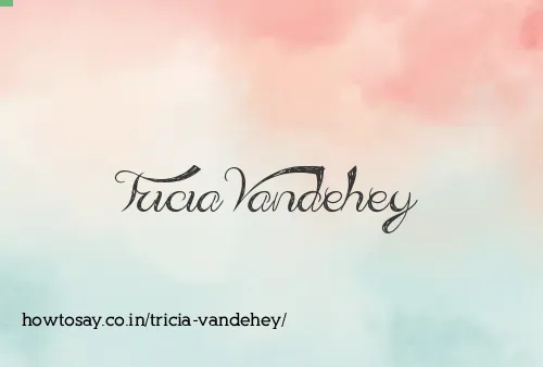 Tricia Vandehey