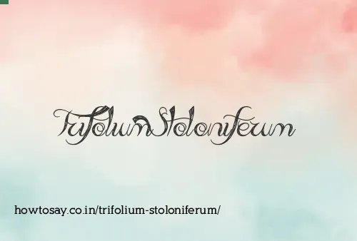 Trifolium Stoloniferum