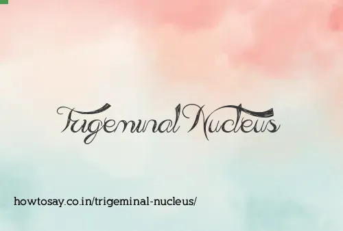 Trigeminal Nucleus