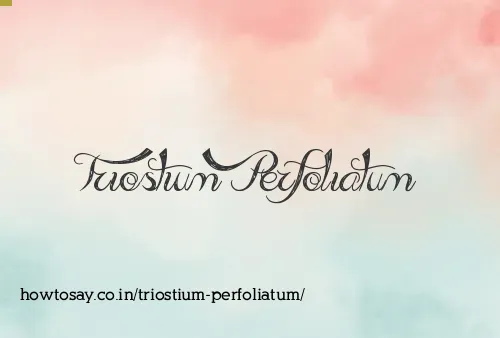 Triostium Perfoliatum