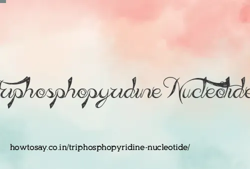 Triphosphopyridine Nucleotide