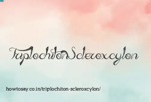 Triplochiton Scleroxcylon