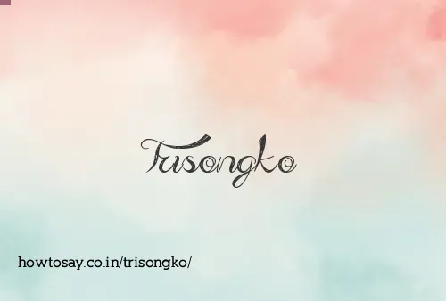 Trisongko
