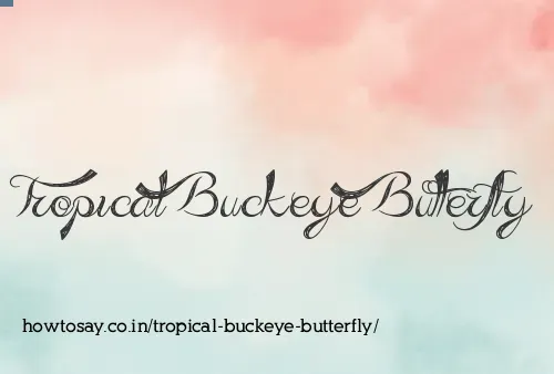 Tropical Buckeye Butterfly