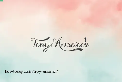 Troy Ansardi