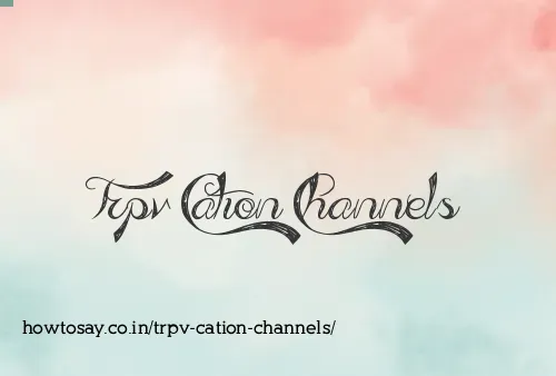 Trpv Cation Channels