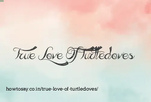 True Love Of Turtledoves