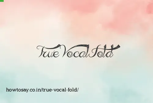 True Vocal Fold