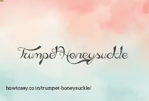 Trumpet Honeysuckle