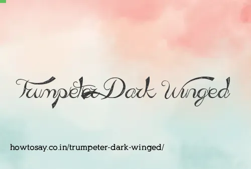 Trumpeter Dark Winged