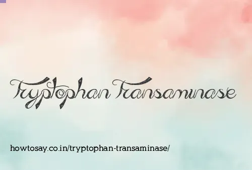 Tryptophan Transaminase