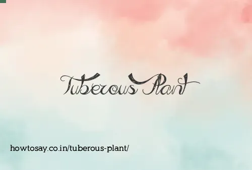 Tuberous Plant