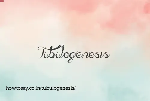 Tubulogenesis