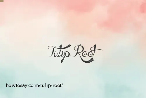 Tulip Root